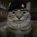 whathappened09_