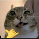 avatar Taj al-Saltaneh <3