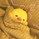 avatar ₍^. .^₎⟆ Duckleigh