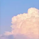 beryl2024