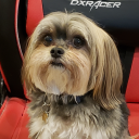 avatar RycarFlareshine