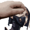 elytex_