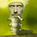 .rlstim