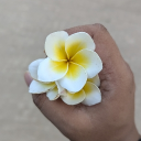 avatar Mir Hridy Aslam