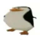 utsav._.
