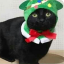 avatar Drunkienstein