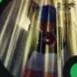leonovella avatar