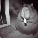 akynidealrdead