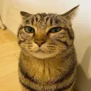 mochi_1000