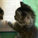 avatar 𝓳𝓪𝔂 𝓳𝓪𝔂 ♡