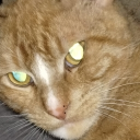user_geyswid3m2pirnmj member profile picture