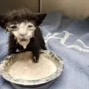 Аватар brasley39