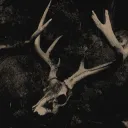 rip.mysanity