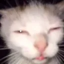 brousumb