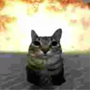 Аватар lavcamon