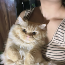 avatar Top notch gabru