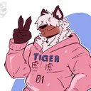 zallyeen