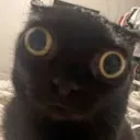 emt_nutet