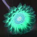 greenflowers_