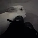 lostedmymind