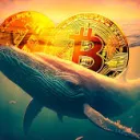 .cryptowhales