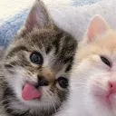 babycinnamonbun