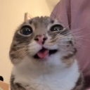 avatar Nickskeebeedee