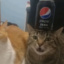 avatar ╰┈➤ Zero Pepsi kitty◞♱ྀིྀི