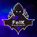 feikgamer