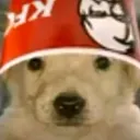 iker4555465779808865645 avatar