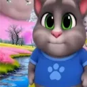 22690