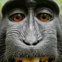 https://cdn.discordapp.com/avatars/1120603431208501268/1070ce693d826018e5af24084ea5968e.jpg?size=128