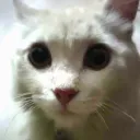gamesofaslandev