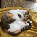 avatar 改PokeLTB_-善