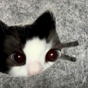 avatar V