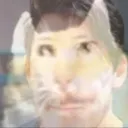 lobstercat_