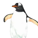 penguin_boss44