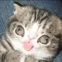 Аватар _strogo_pupsen