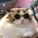 hioshiefr avatar