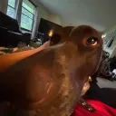 jackywacky_stormy