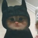 ccubert