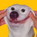 unusual_sid