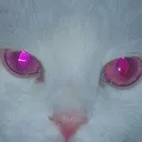 al_1_ly
