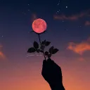 dominus_zero