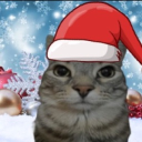 avatar ツツShATiZuuuツツ