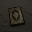 avatar أبو عنكبوت الشافعي