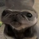 squishy_of_cinder