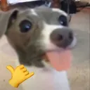 donotspampls