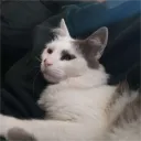 kimbenja