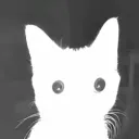 aaxai